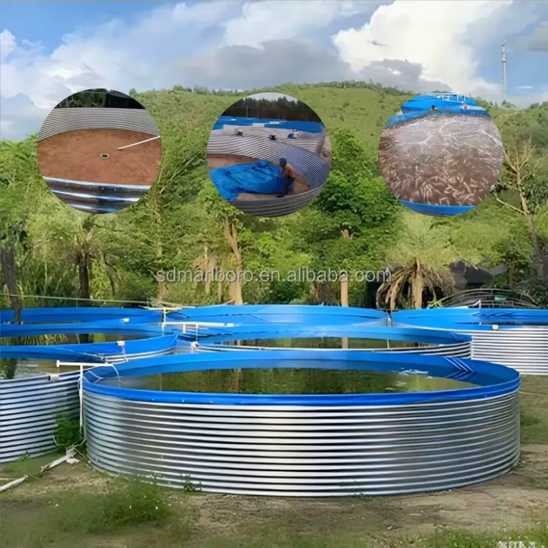 SDM Tarpaulin Farm Pool for Ga - Farming Agriculture Stocks recension och pris